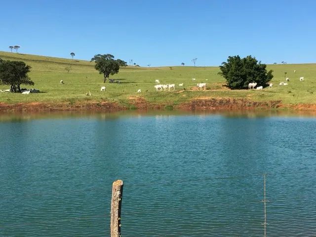 Fazenda de 260 alq em Corumbá-Go - Foto 5