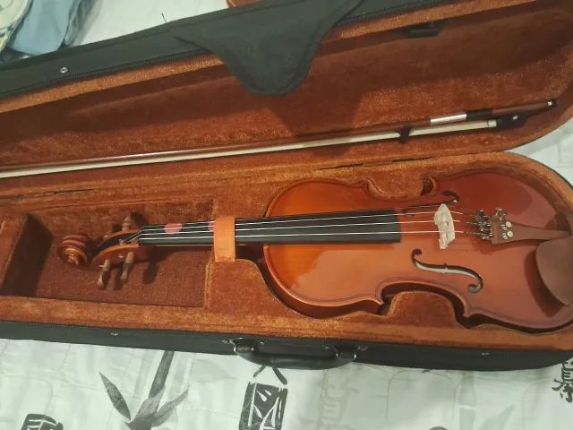 Violino 4/4 Hofma Eagle HVE241 ajustado por luthier (Novo)