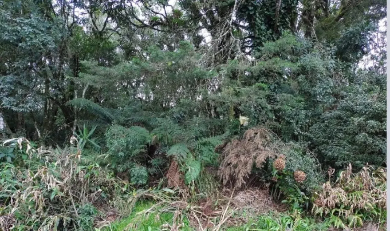 Terreno à venda em São Bernardo com área de 960 m² - Oportunidade Única!