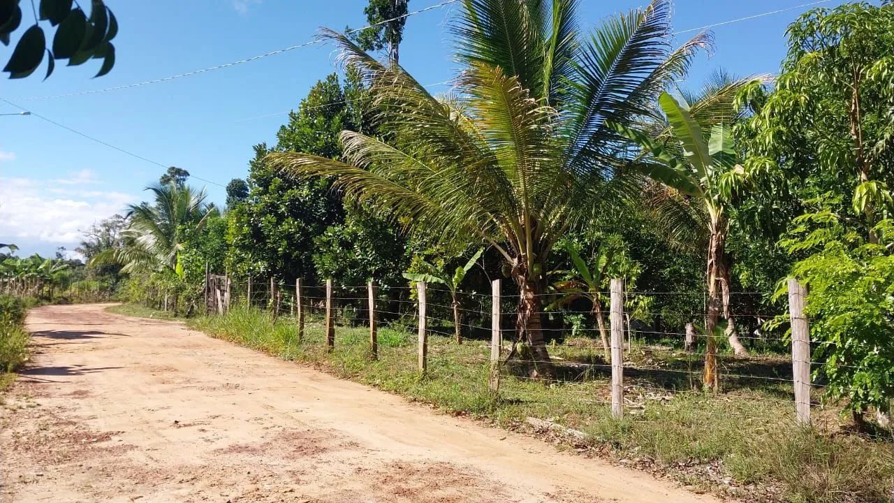 Lindo Sítio a venda