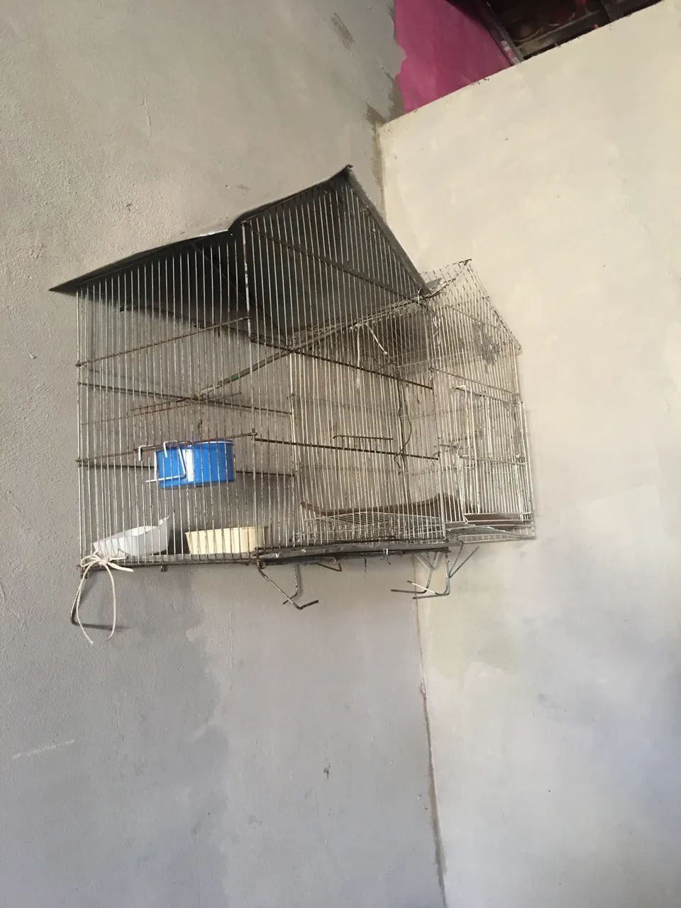 Gaiola dupla 64304559963265123