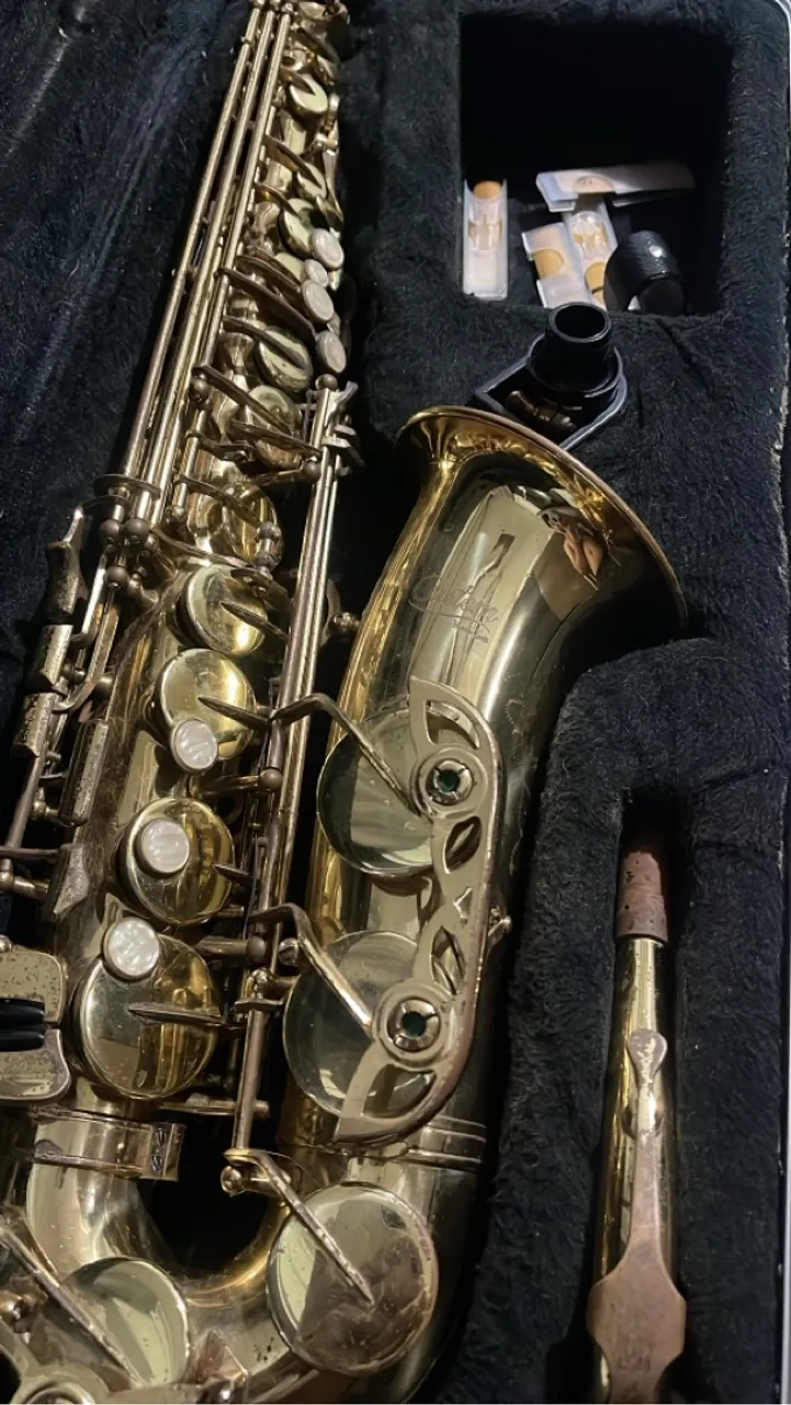 Saxofone Vintage em Ótimo Estado