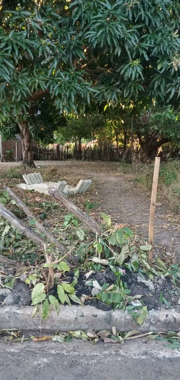 Terreno
