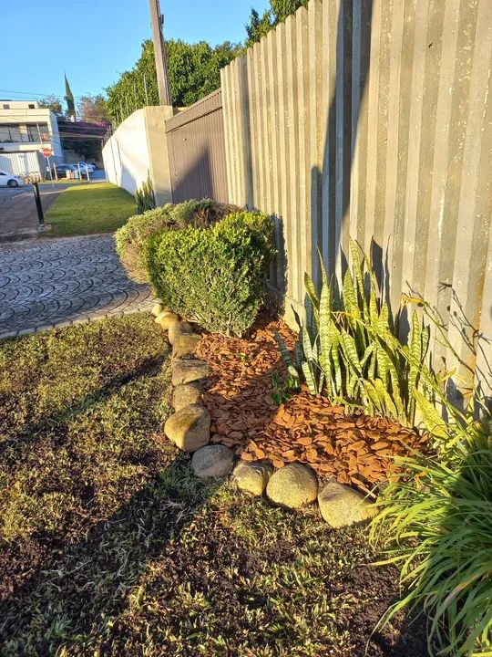 Jardinagem & Paisagismo  - Foto 3