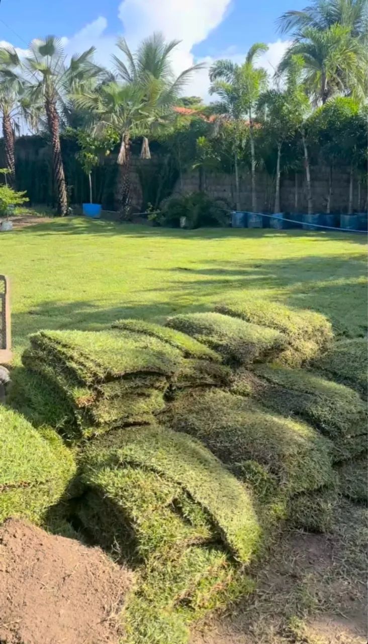 Gramado em placas para jardim e paisagismo - Foto 5