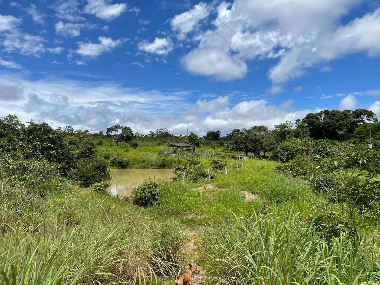 Fazenda em mimoso de Goiás/padre Bernardo.