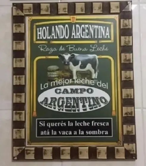 Quadro - figura argentina decorativa - gado holandês