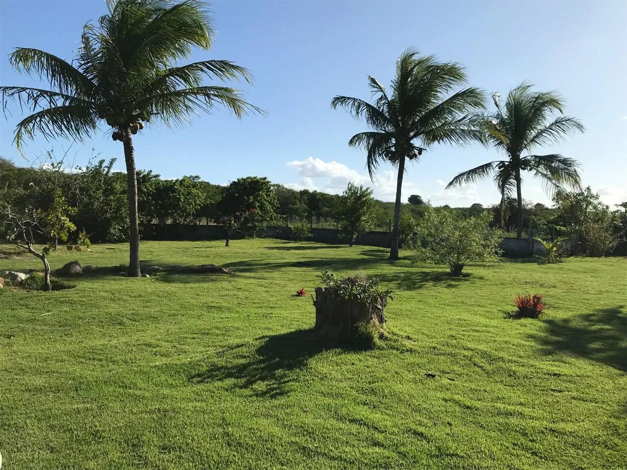 Fazenda / Chácara / Granja - Foto 3