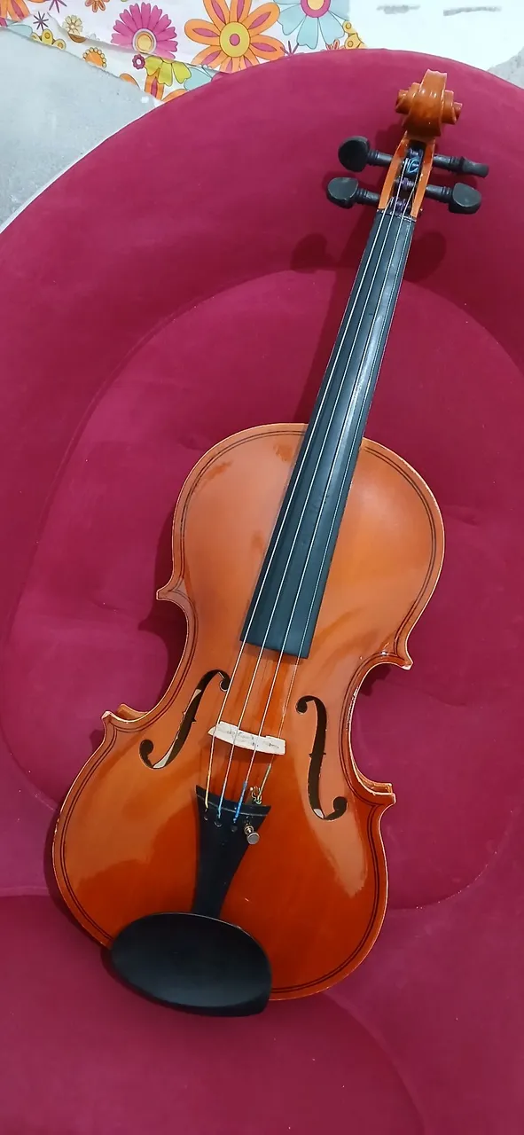 Violino