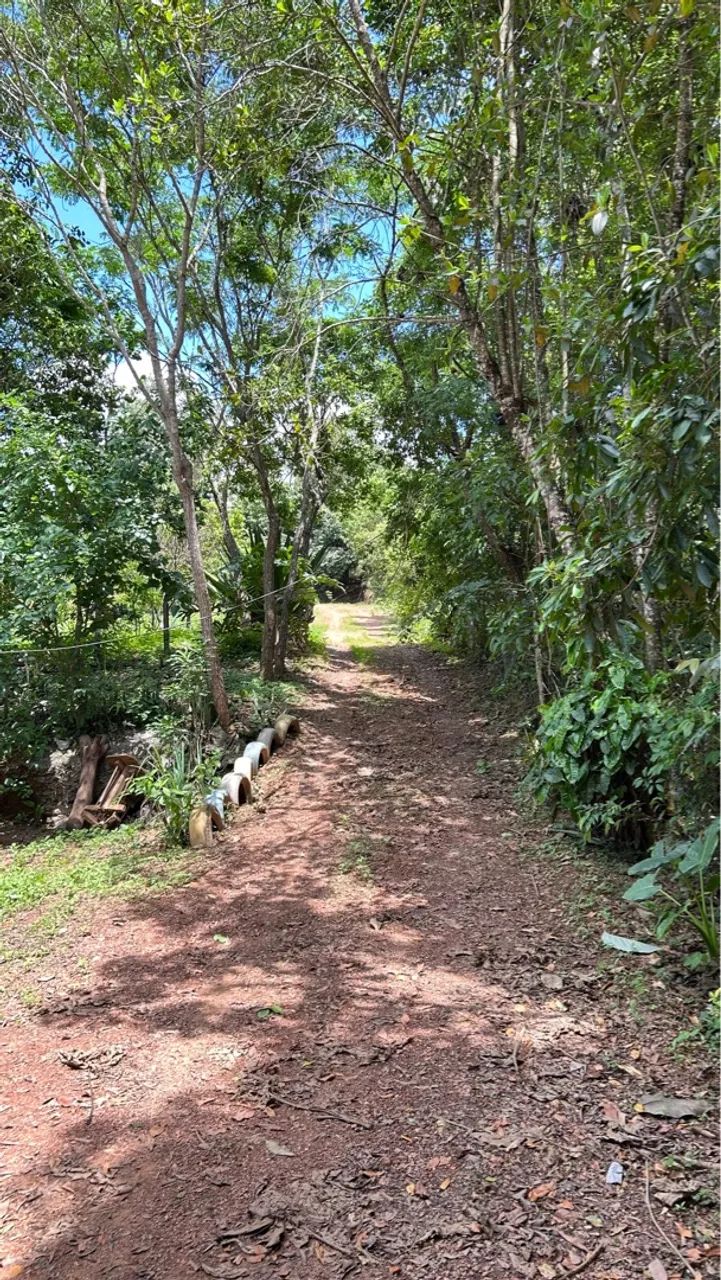 Chácara em Caldazinha troco por casa e carro - Foto 2