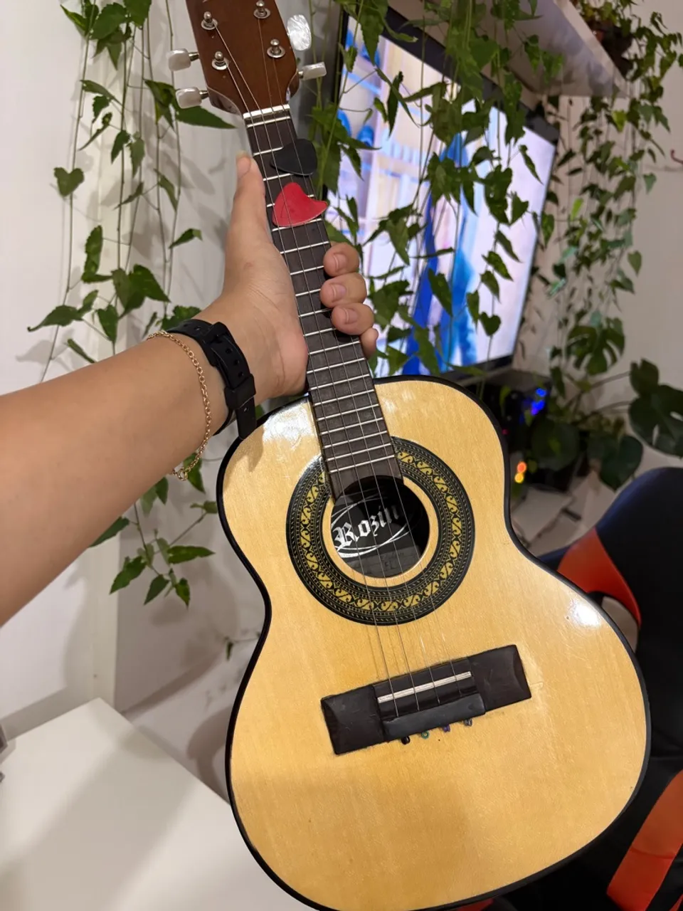 Cavaquinho Rosini Acústico