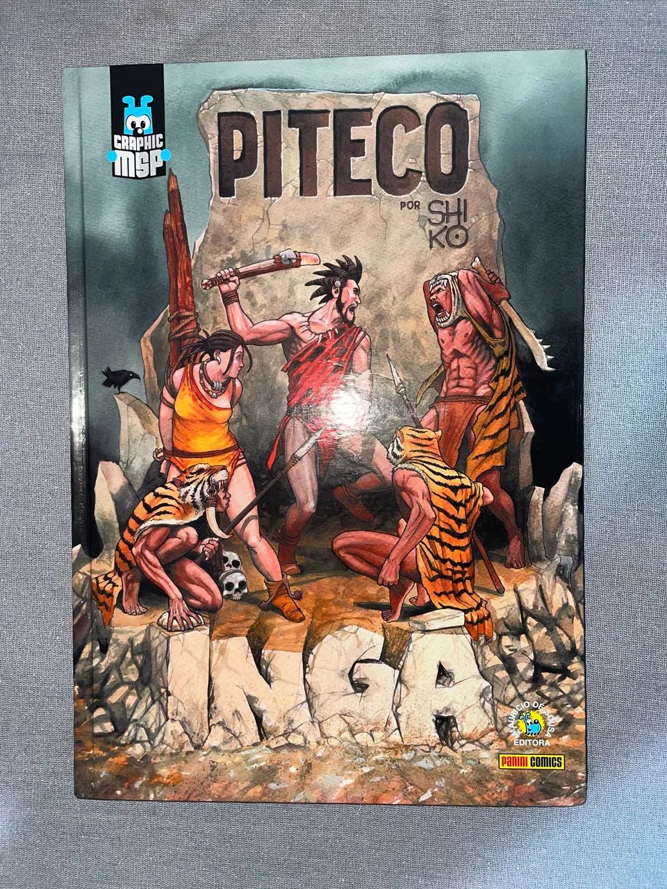 Piteco - Ingá (Graphic MSP)