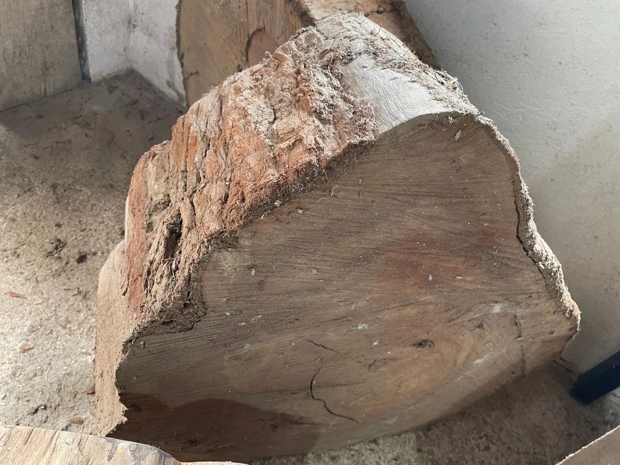 Toras eucalipto centenário - maturado  preço unitário  - Foto 3