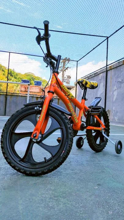 Bicicleta Aro 16