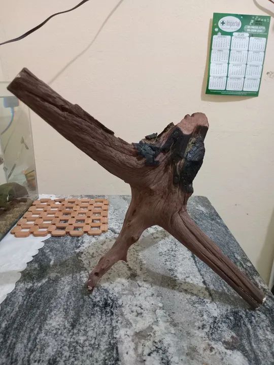 Tronco de madeira para aquario