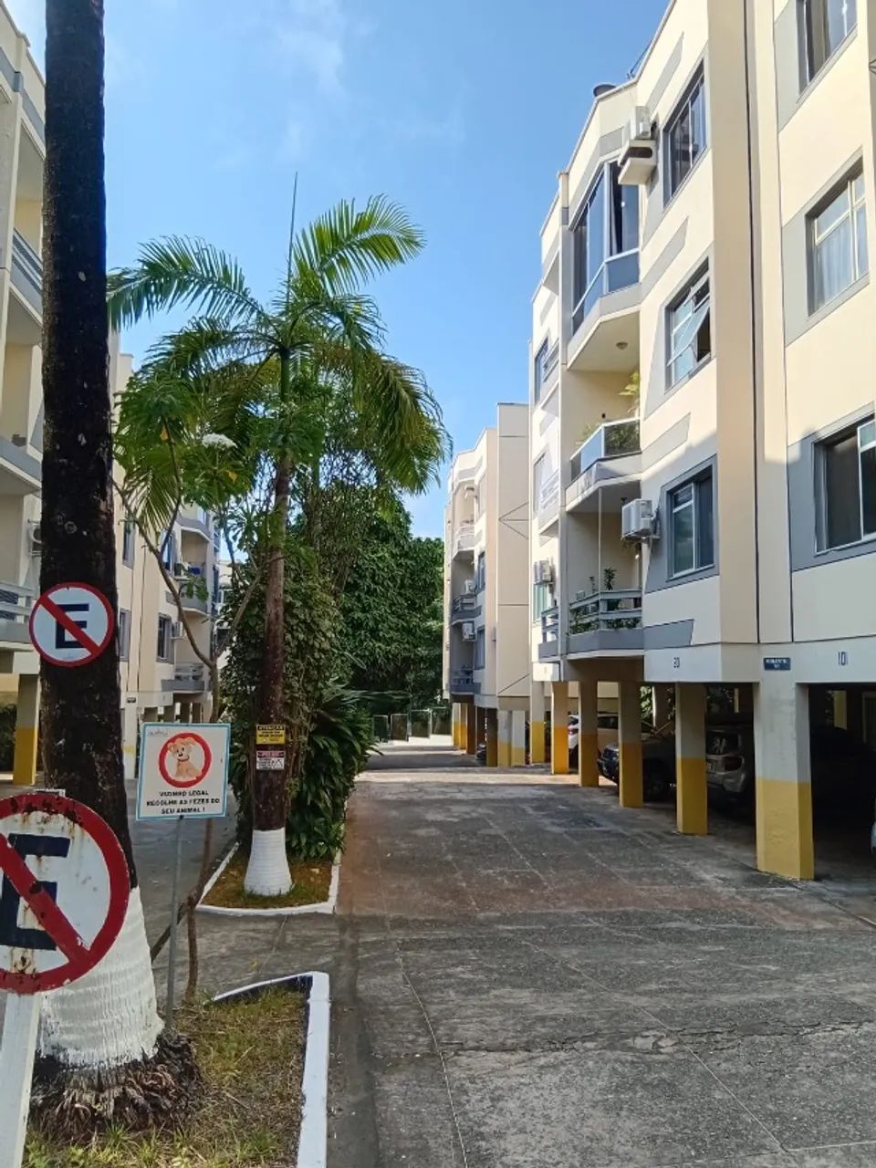 Foto - São Luís - Cohafuma