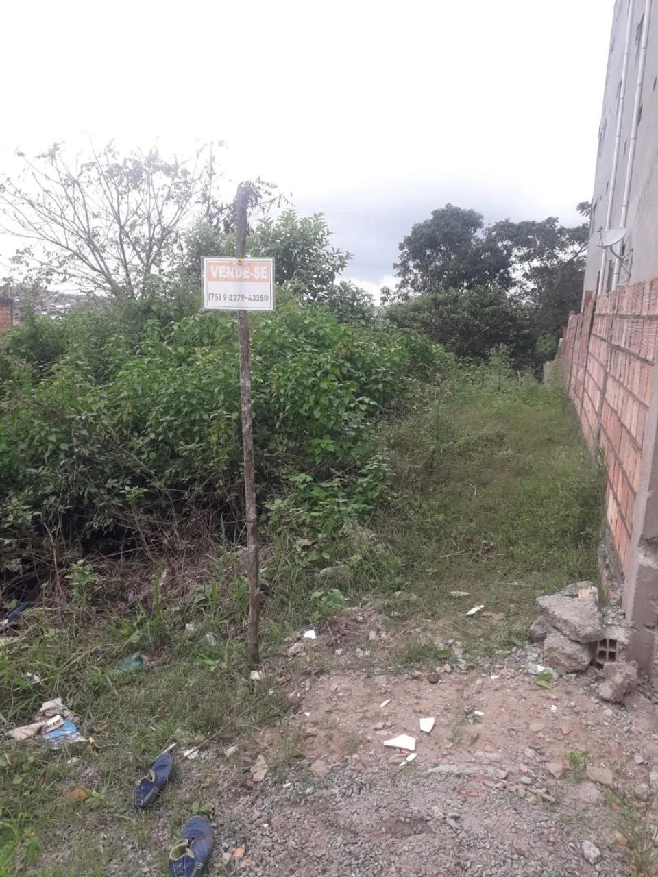 Terreno em santo Amaro  - Foto 2