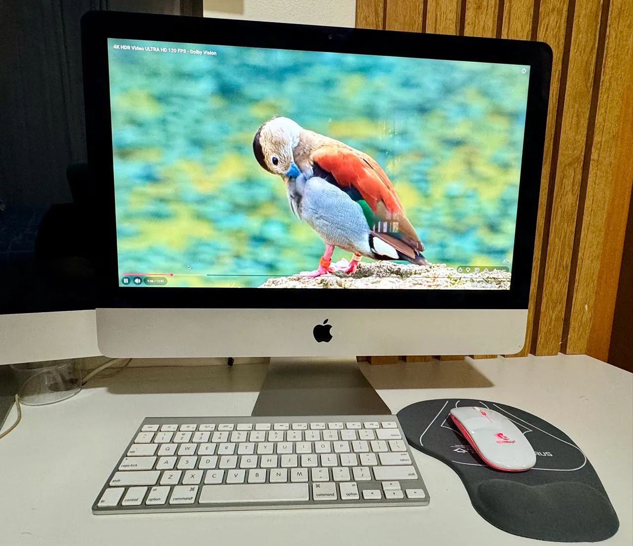 iMac Retina 4K 21,5 l Late 2015 | i5 | 8GB | SSD 480GB | Teclado