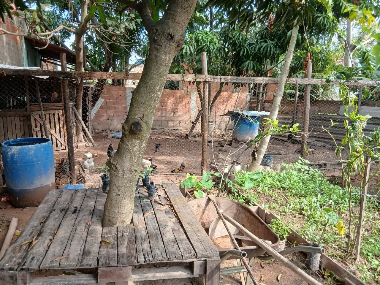 Terreno lagomar macaé  - Foto 3
