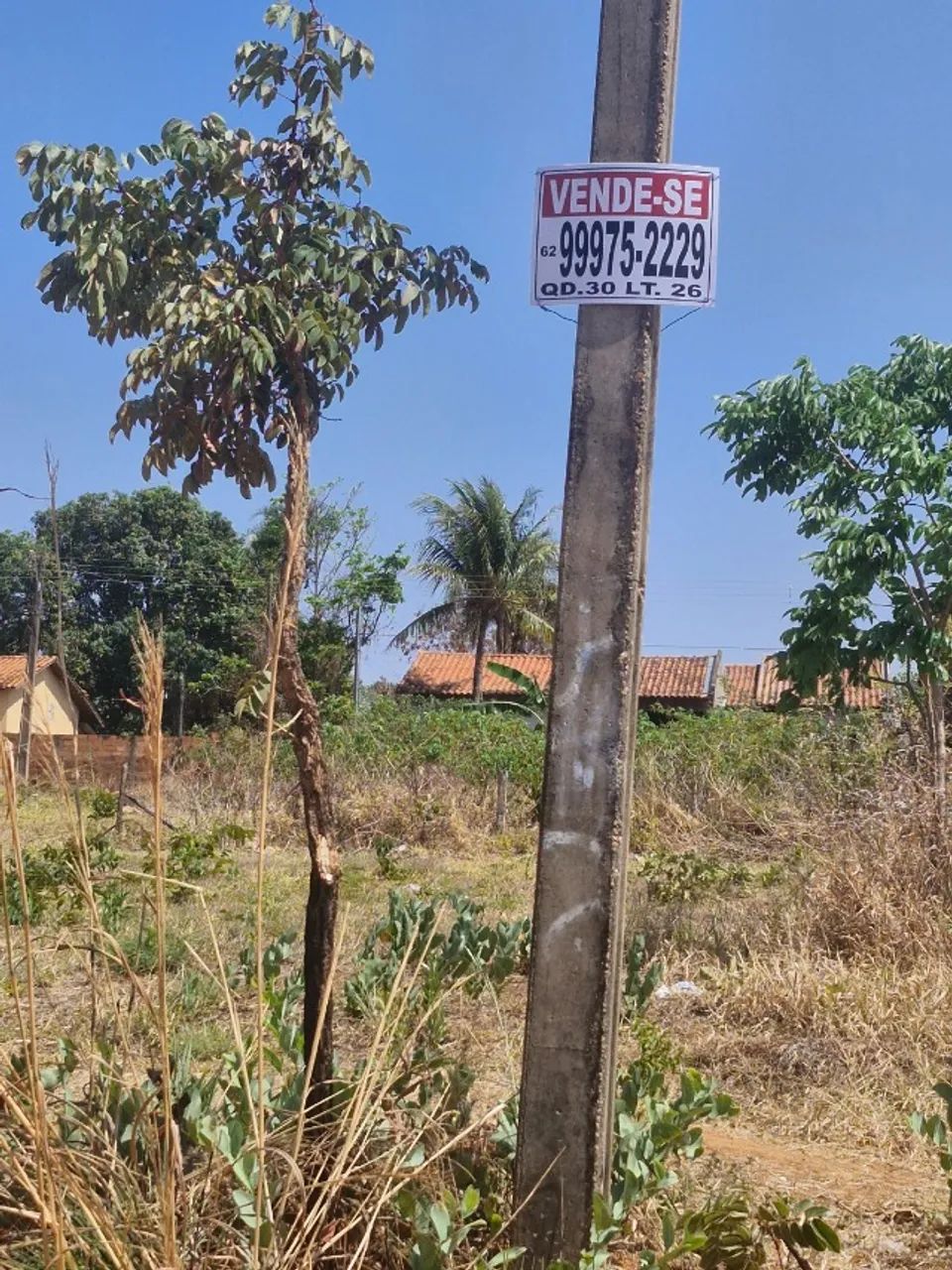 Lote Jardim Dom Bosco