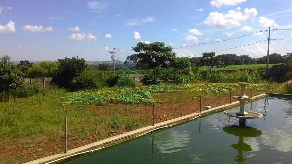 Casa Chácara - Rancho em Brodowski - Foto 4