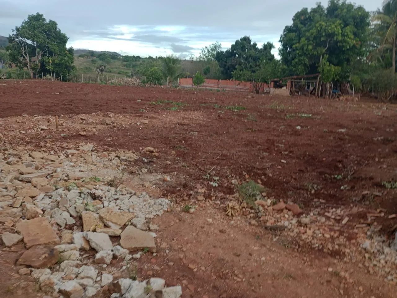 Vendo chácara em Taquarana 2.600 metros !! - Foto 3