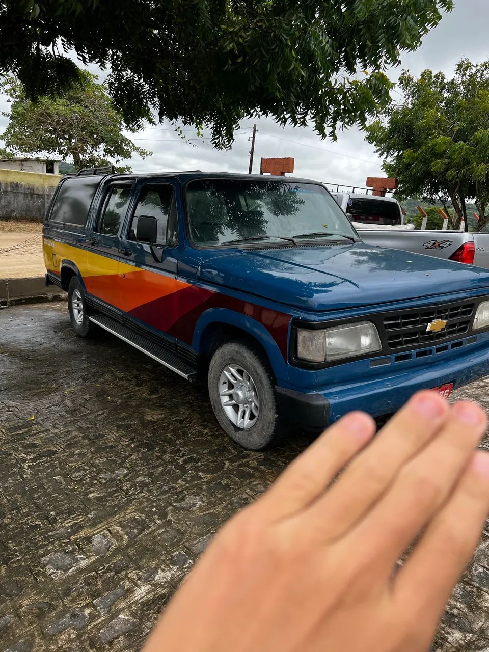 Chevrolet Veraneio Veraneio S/ Luxe 4.0 Dies./TB Dies. 1989