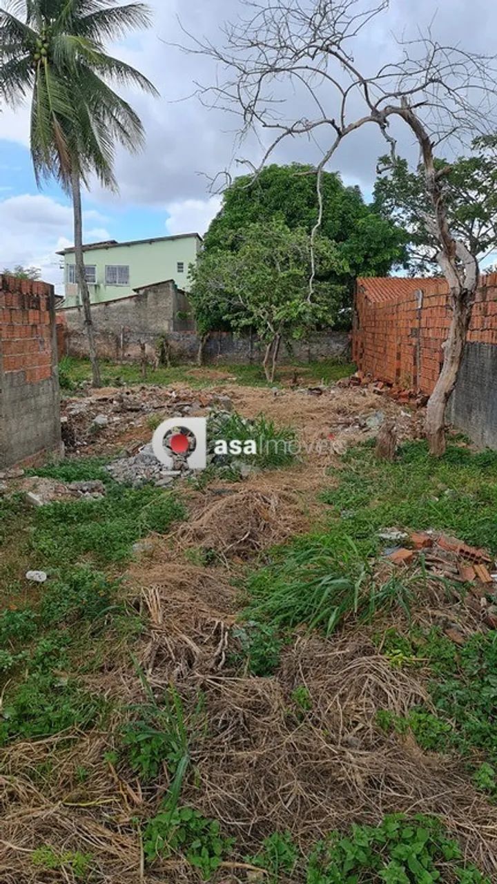 Terreno na Caucaia - Foto 2