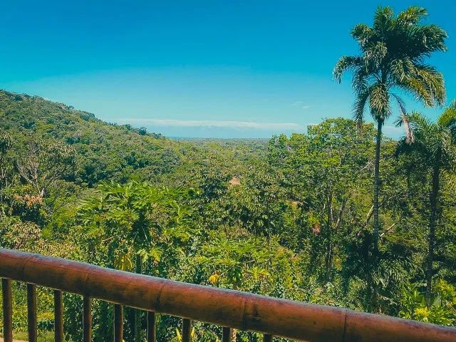 Fazenda Exclusiva em Serra Grande - BA - Foto 2