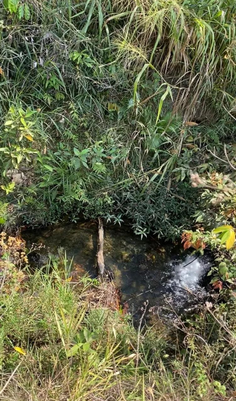 mini chácara samambaia 1000 metros com agua e energia córrego - Foto 5