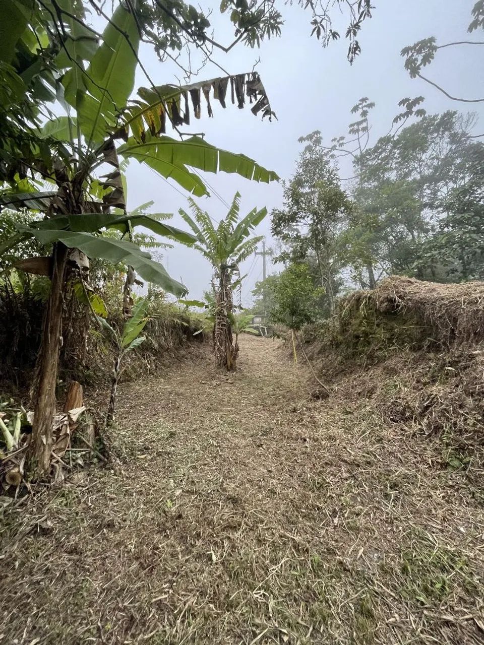 Terreno á venda - Foto 3