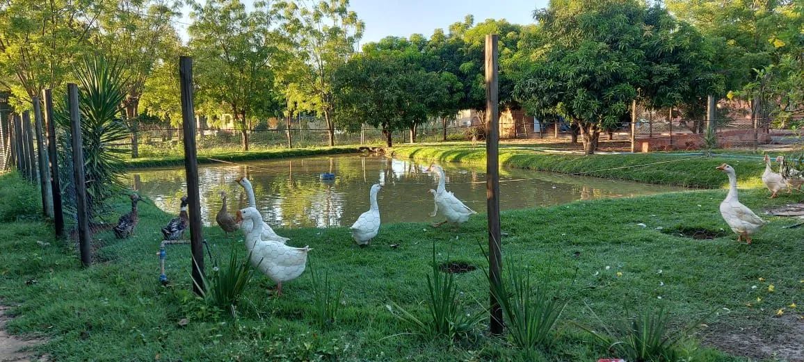 Foto - Barreiras - 