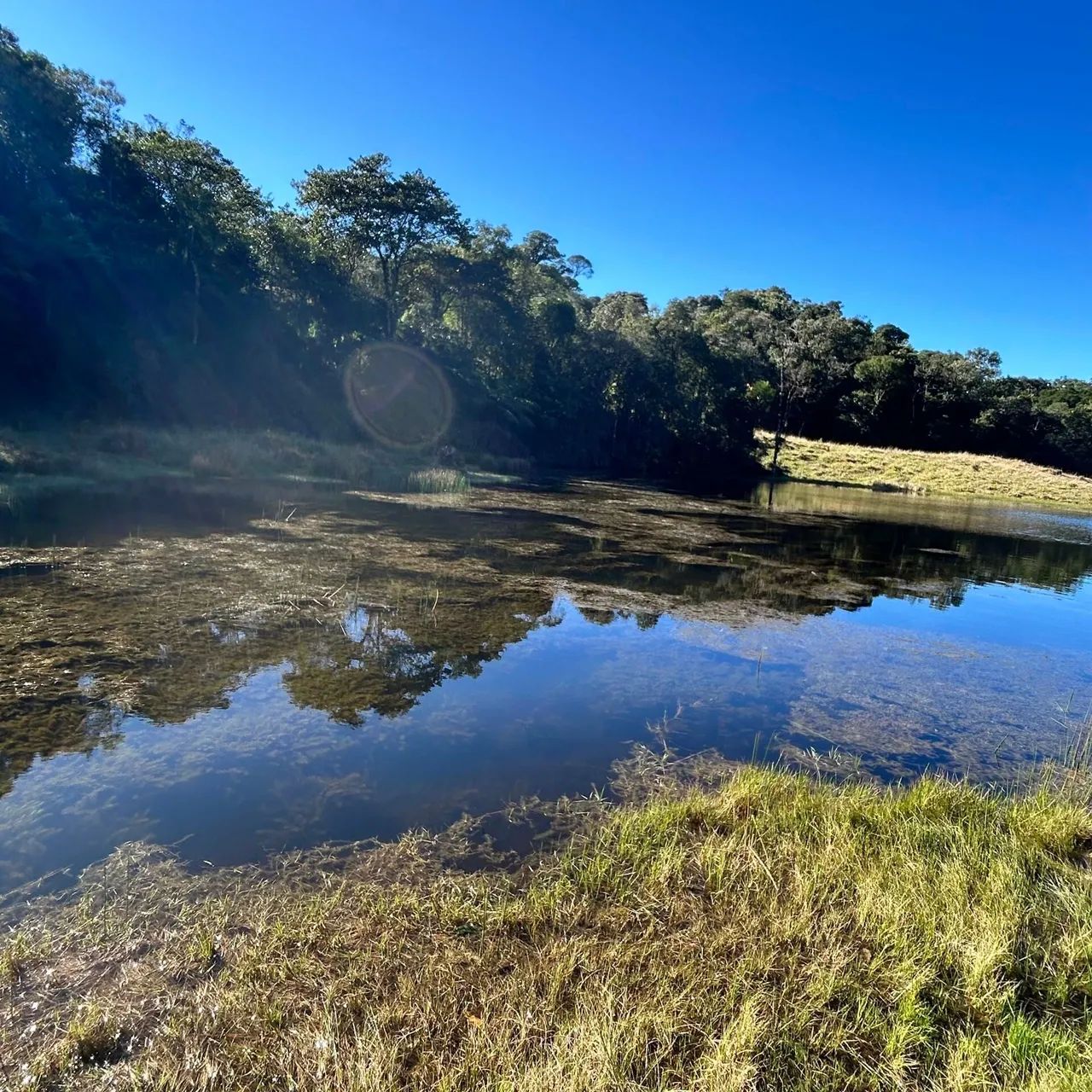 Chácara com 137 hectares - São Bonifácio - Foto 5