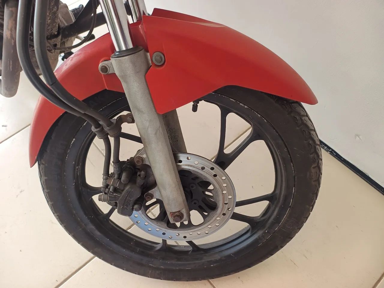 Fan 2019 - Foto 5