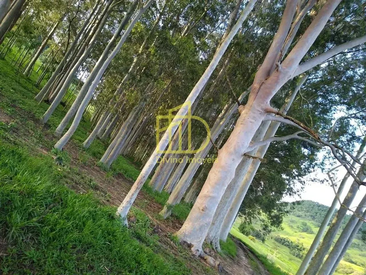 FAZENDA À VENDA EM ANGATUBA  SP - Foto 3