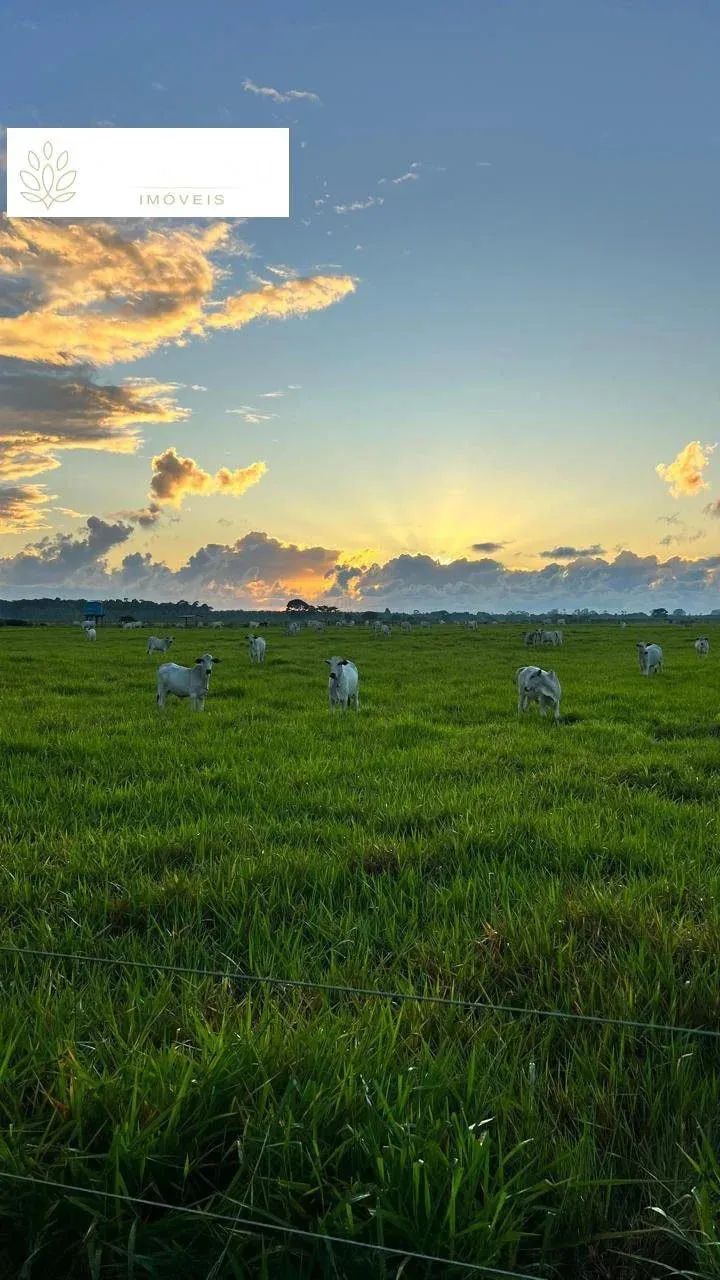 Fazenda em Caraiva - Foto 2