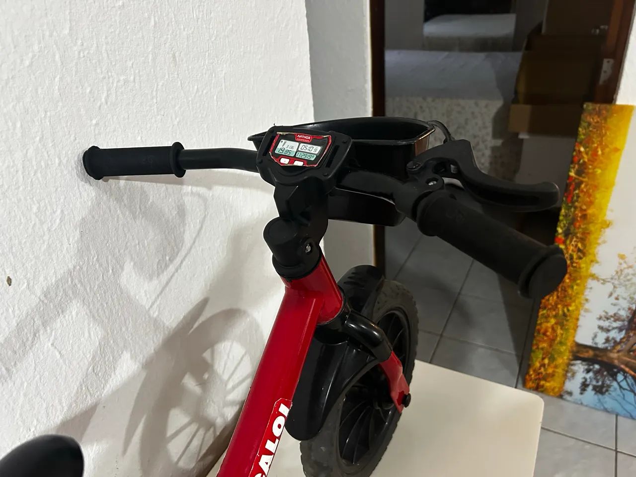 Bicicleta de Equilíbrio - Foto 2