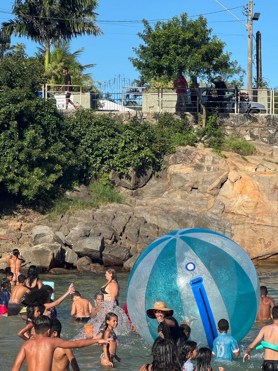 Bolha aquatica - Foto 2