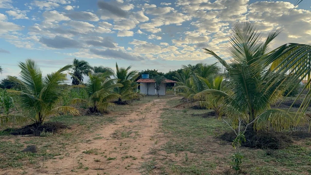 Vendo 2 tarefas de terra