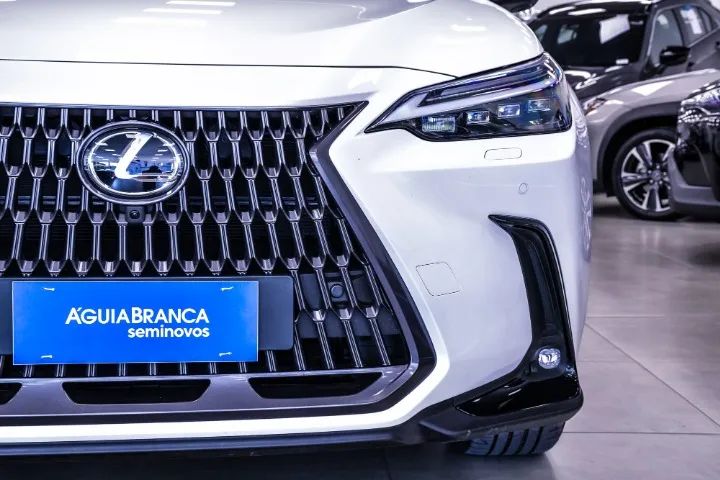 Lexus NX-350h Luxury 2.5 16V Aut. (hybrid), foto 14 de 20