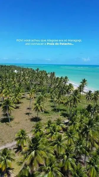 Area em Japaratinga e Maragogi /  ( O paraiso Existe) - Foto 4