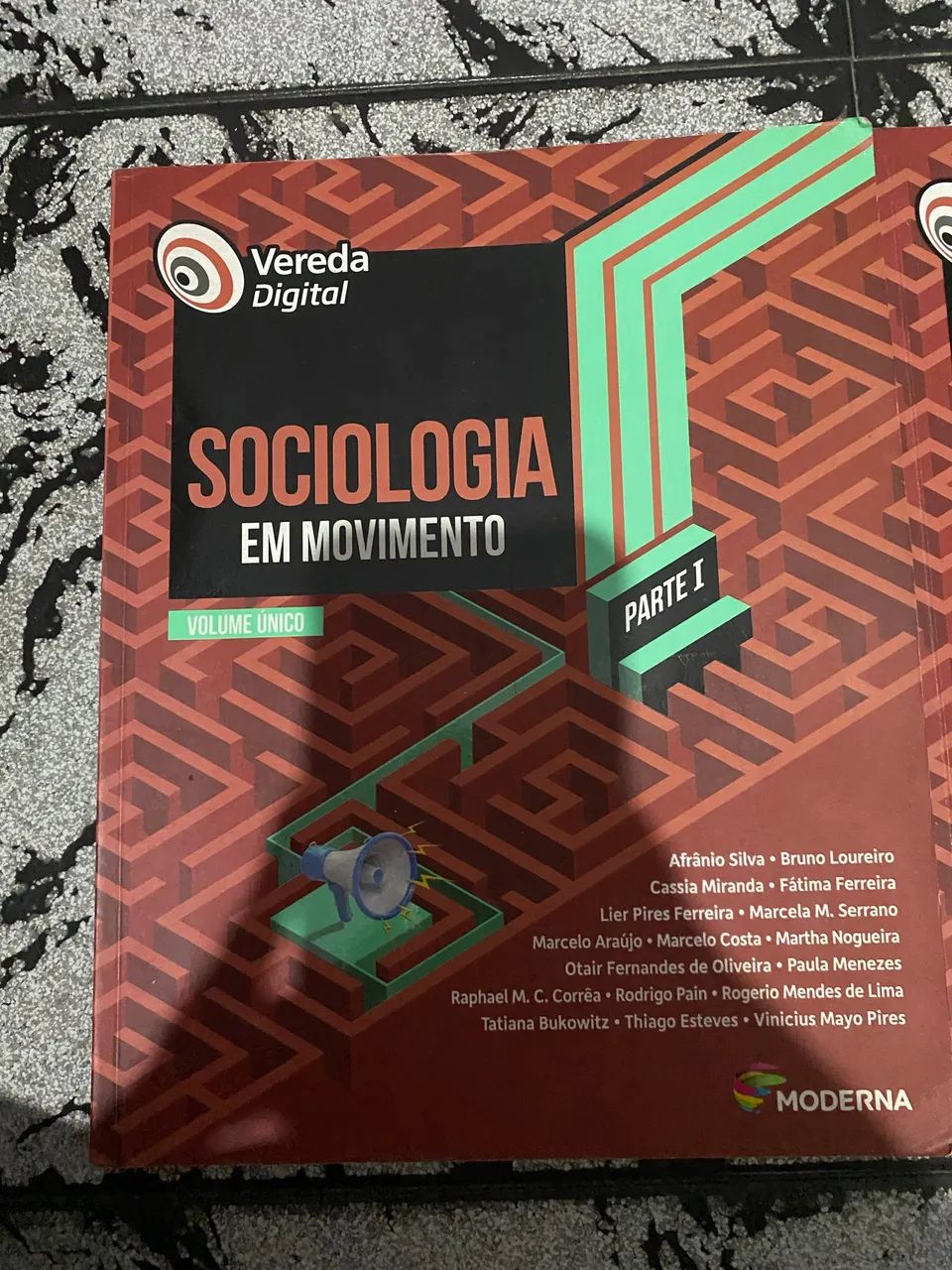 Vareda Digital Sociologia em Movimento (Parte 1+Parte 2) - Foto 3