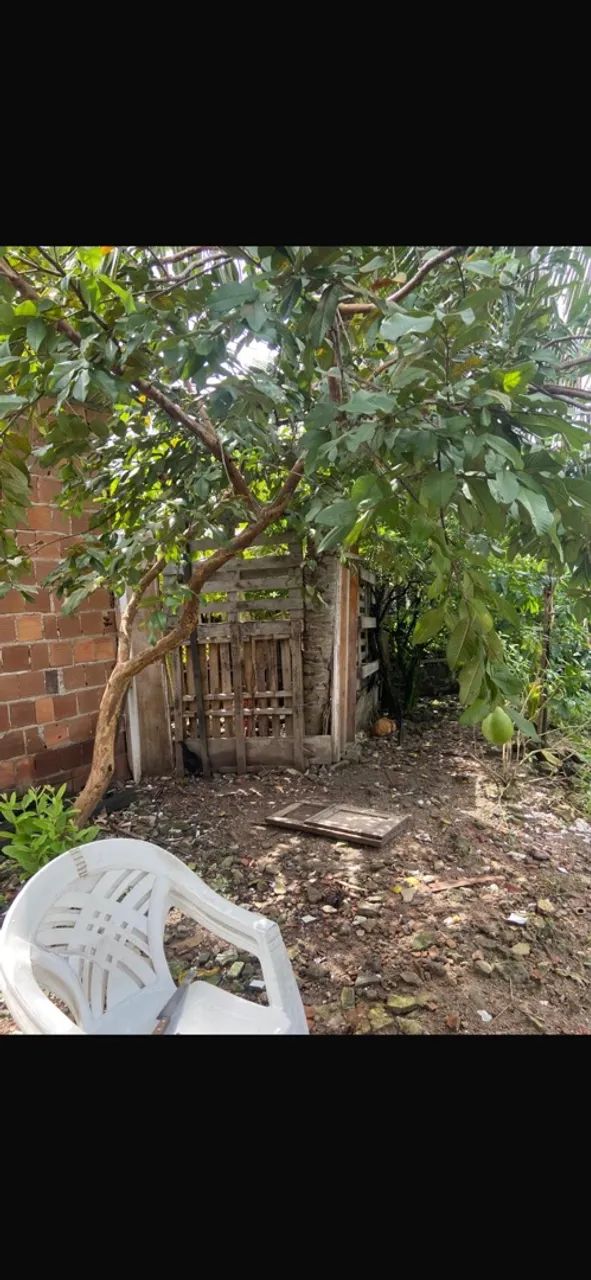 Terreno com um cômodo!  - Foto 2