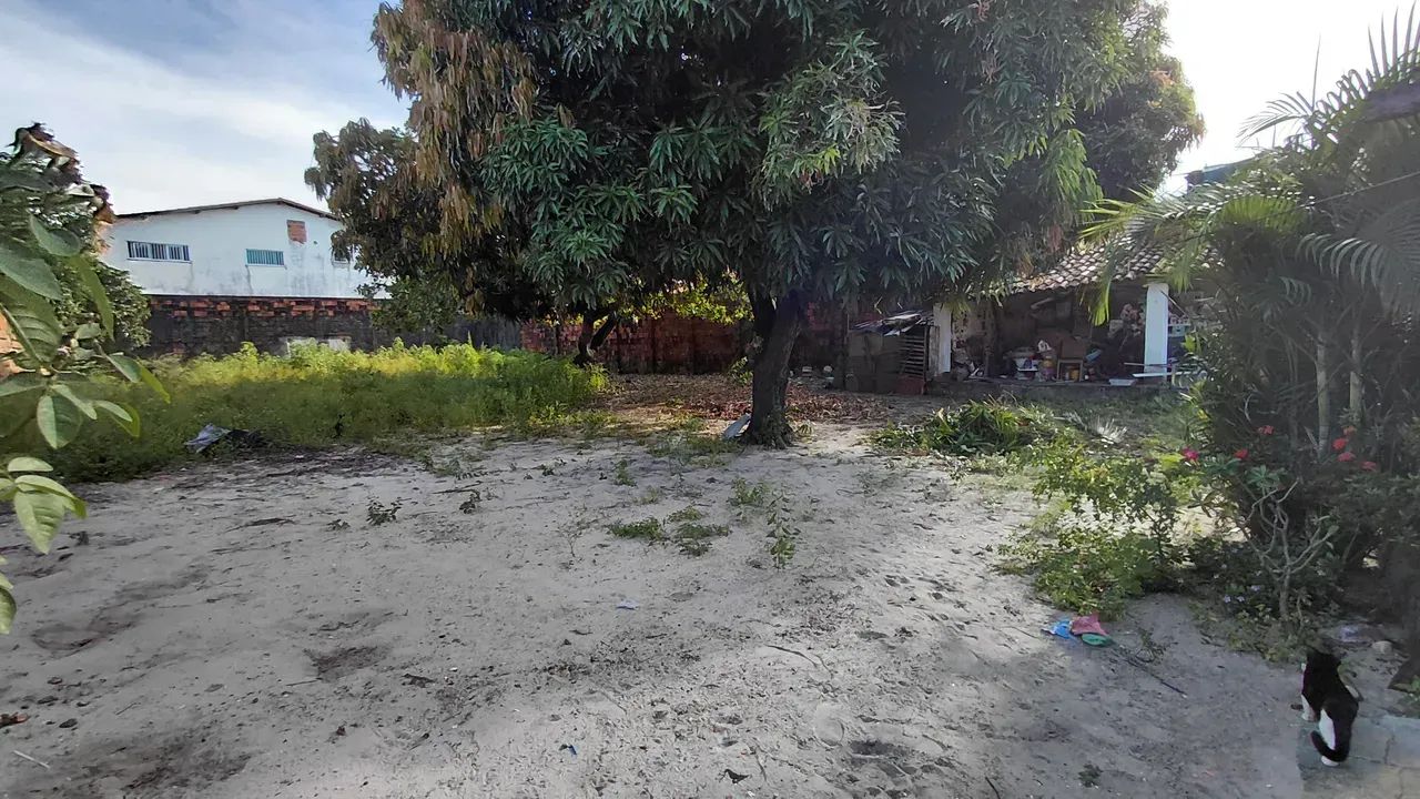 Terrado no Álvaro Weyne - Foto 4