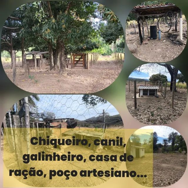 FAZENDA EM NIQUELÂNDIA - Foto 5
