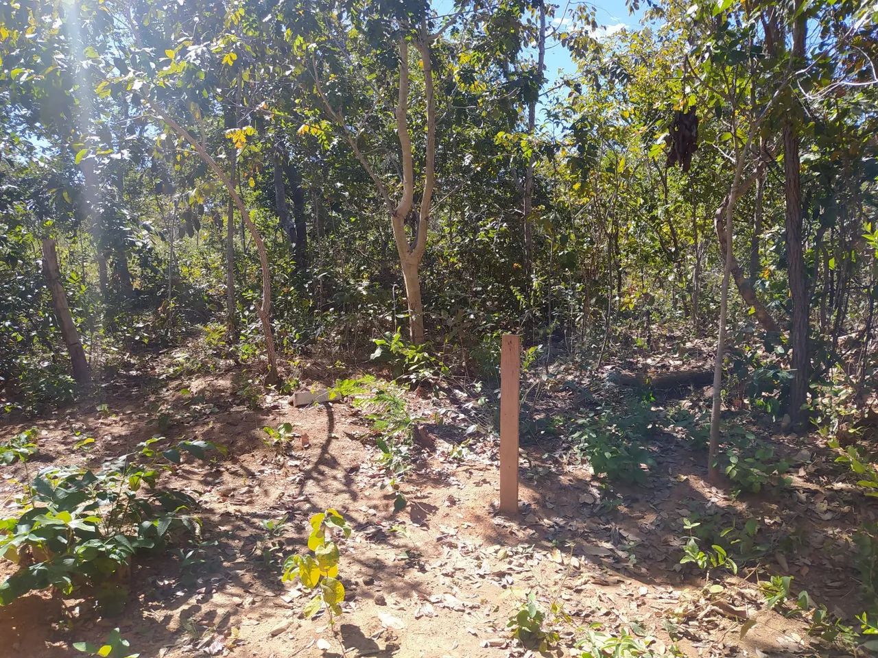 Lote no Lago serra da mesa - Foto 5
