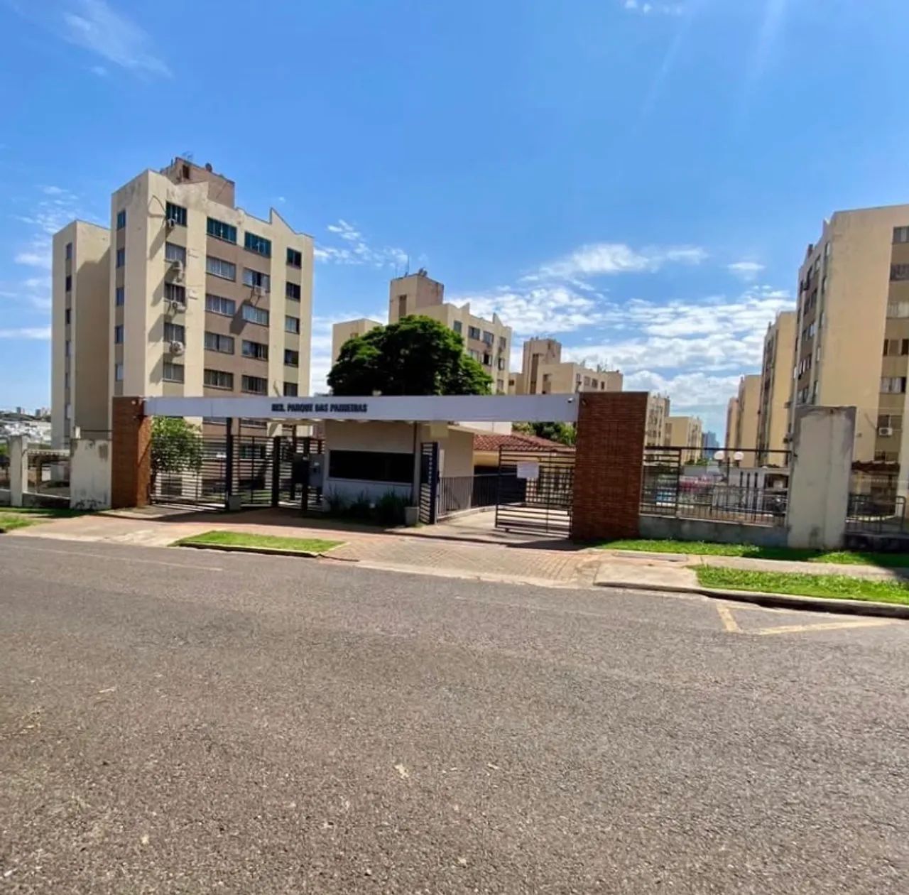 Paineiras seu novo lar  - Foto 2