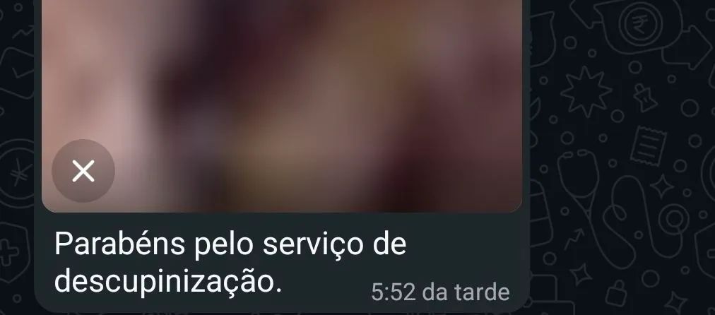 Dedetização recife  - Foto 4