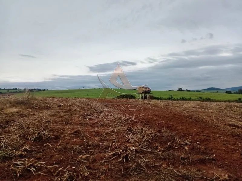 Sítio - Tambaú - Zona Rural - Foto 5