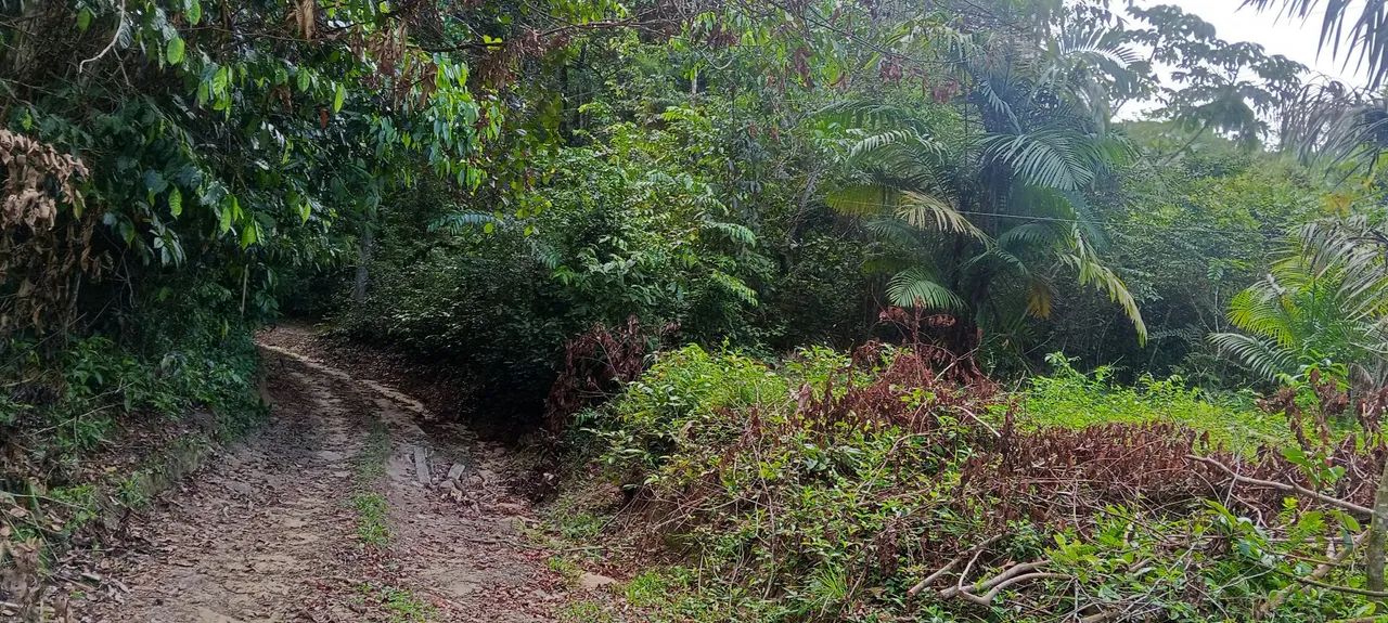 Terreno na agrovila Itaqui 
